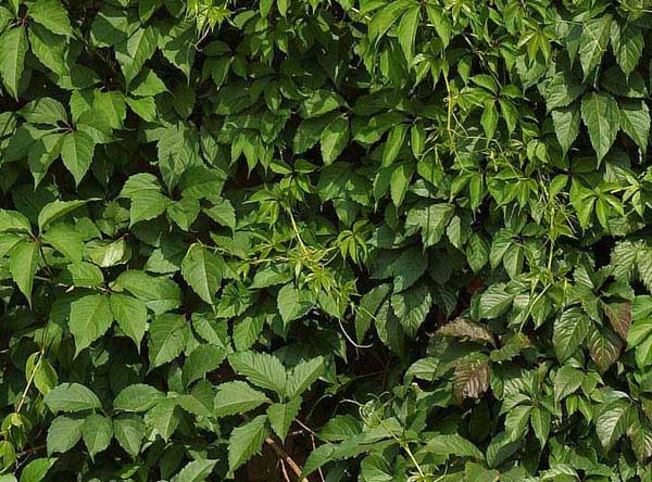 На северной стороне На северной стороне