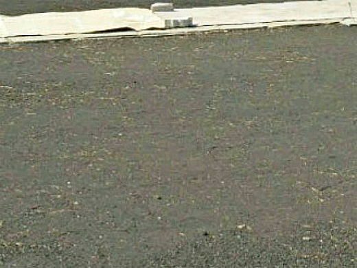 Подготовка участка под газон Подготовка участка под газон