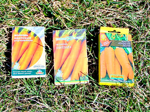 Посадка моркови лентой Посадка моркови лентой