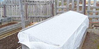 Особенности выращивания овощей в северных районах