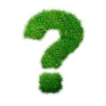 Актуальные вопросы от наших подписчиков Актуальные вопросы от наших подписчиков