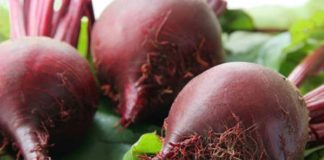 Ухаживаем за свеклой