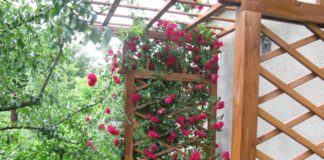 Опора для вьющихся