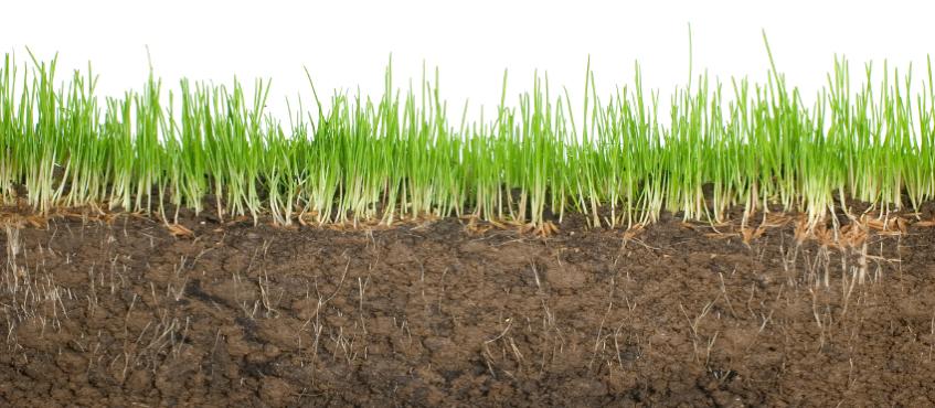 Перекопка почвы Перекопка почвы