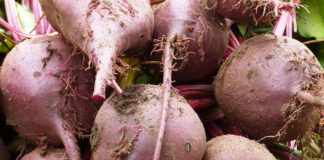 Как приготовить свекольный сироп (заменитель меда)?