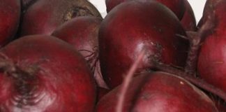 Что любит свекла?