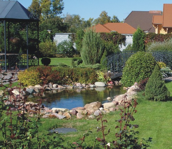 Композиция водоема Композиция водоема