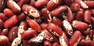 Использование разных видов фасоли