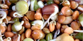 Проращивание семян