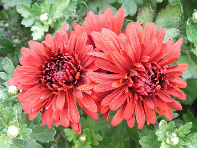 Как избежать пересадок Как избежать пересадок