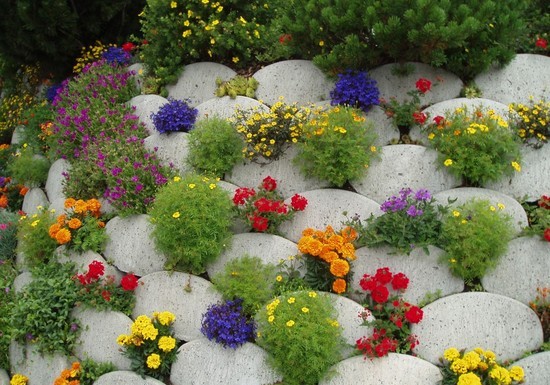 Как оформить клумбу Как оформить клумбу
