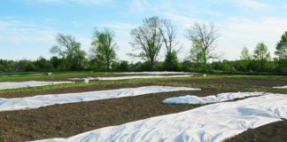 Укрывной материал для грядок