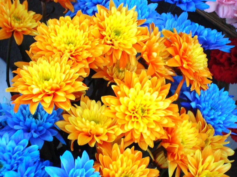 Секреты цветника Секреты цветника