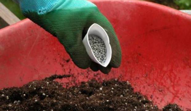 Удобрение овощных культур Удобрение овощных культур