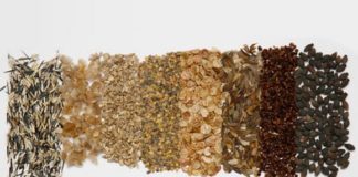 Советы при выборе семян