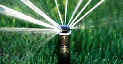 Нужен полив или нет Нужен полив или нет