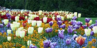 Не сажайте вместе!