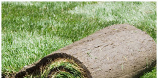 Изготовление дерновой земли