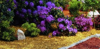 Как мульчируют цветники?