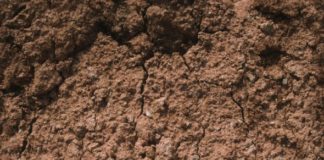 Какова причина почвоутомления?