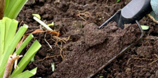 Что такое почвоутомление?