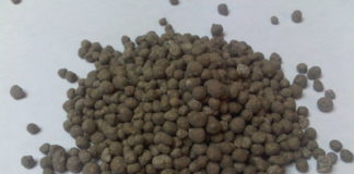 Когда вносить суперфосфат в почву?