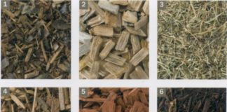 Что такое органическая мульча?