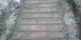 Почему грядки рекомендуют перекапывать под зиму?