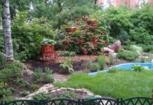 Выбор участка