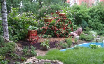 Выбор участка