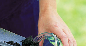 Как взять пробу для анализа почвы?